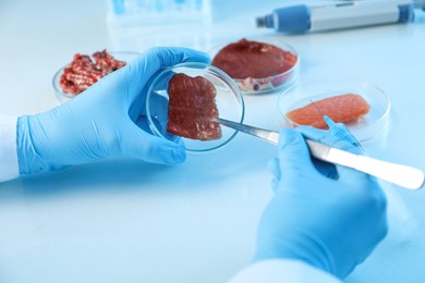 Photo of GMO concept. Scientist with piece of meat at table, closeup