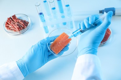 Photo of GMO concept. Scientist injecting something into piece of salmon at table in laboratory, closeup