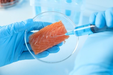 Photo of GMO concept. Scientist injecting something into piece of salmon at table in laboratory, closeup