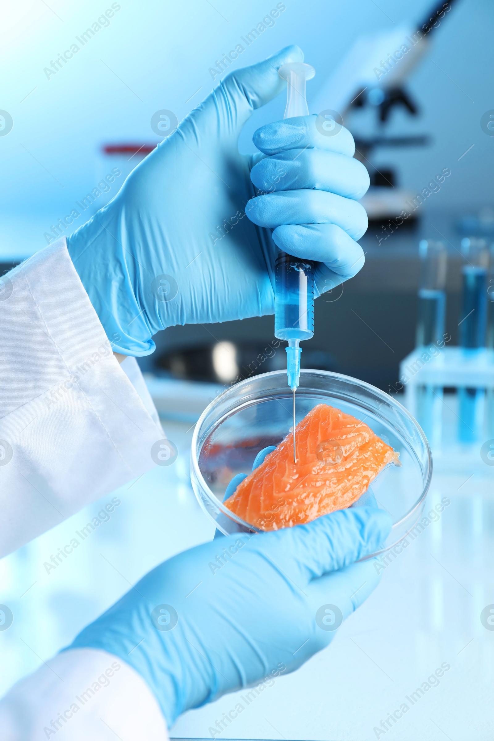 Photo of GMO concept. Scientist injecting something into piece of salmon in laboratory, closeup