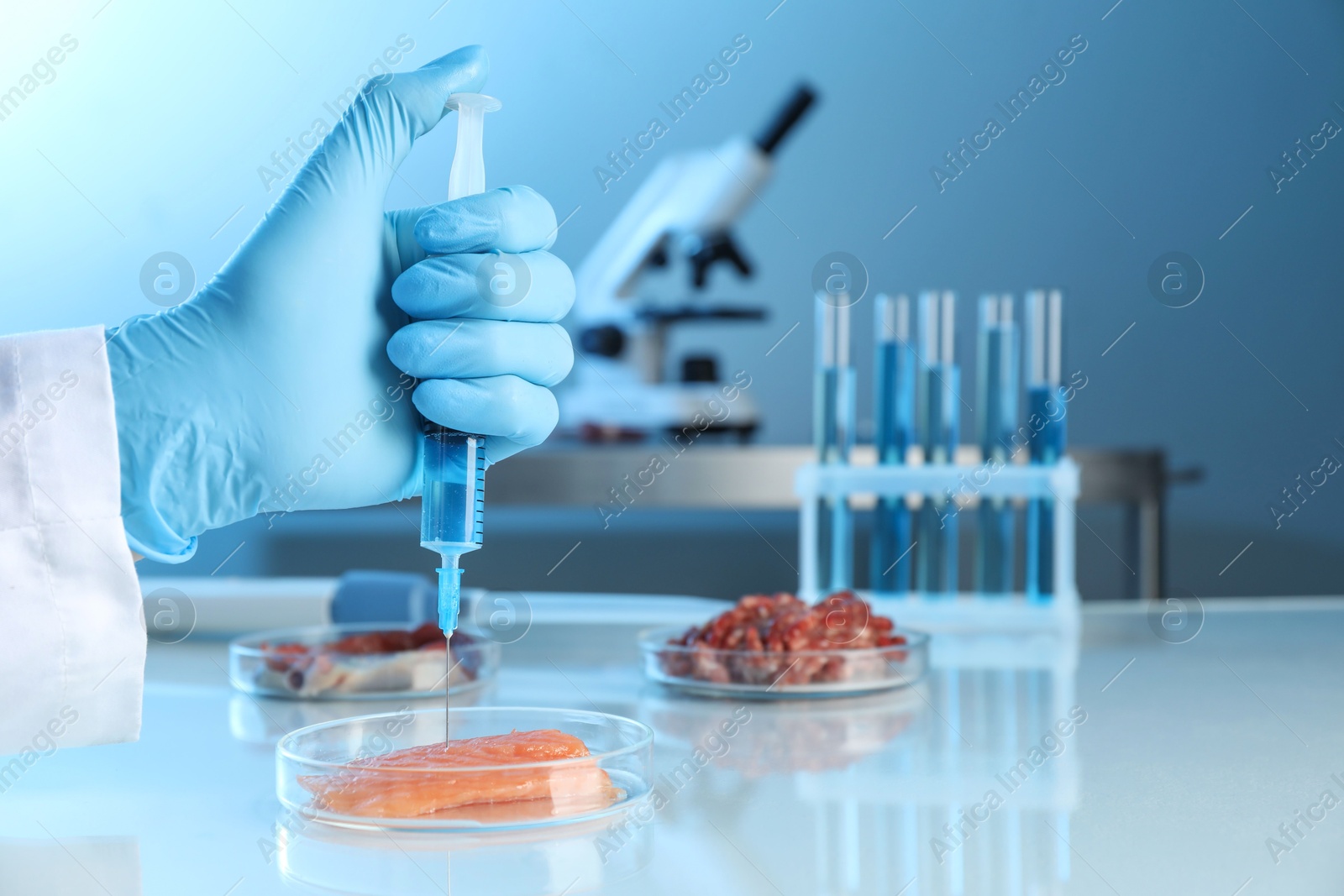 Photo of GMO concept. Scientist injecting something into piece of salmon at table in laboratory, closeup