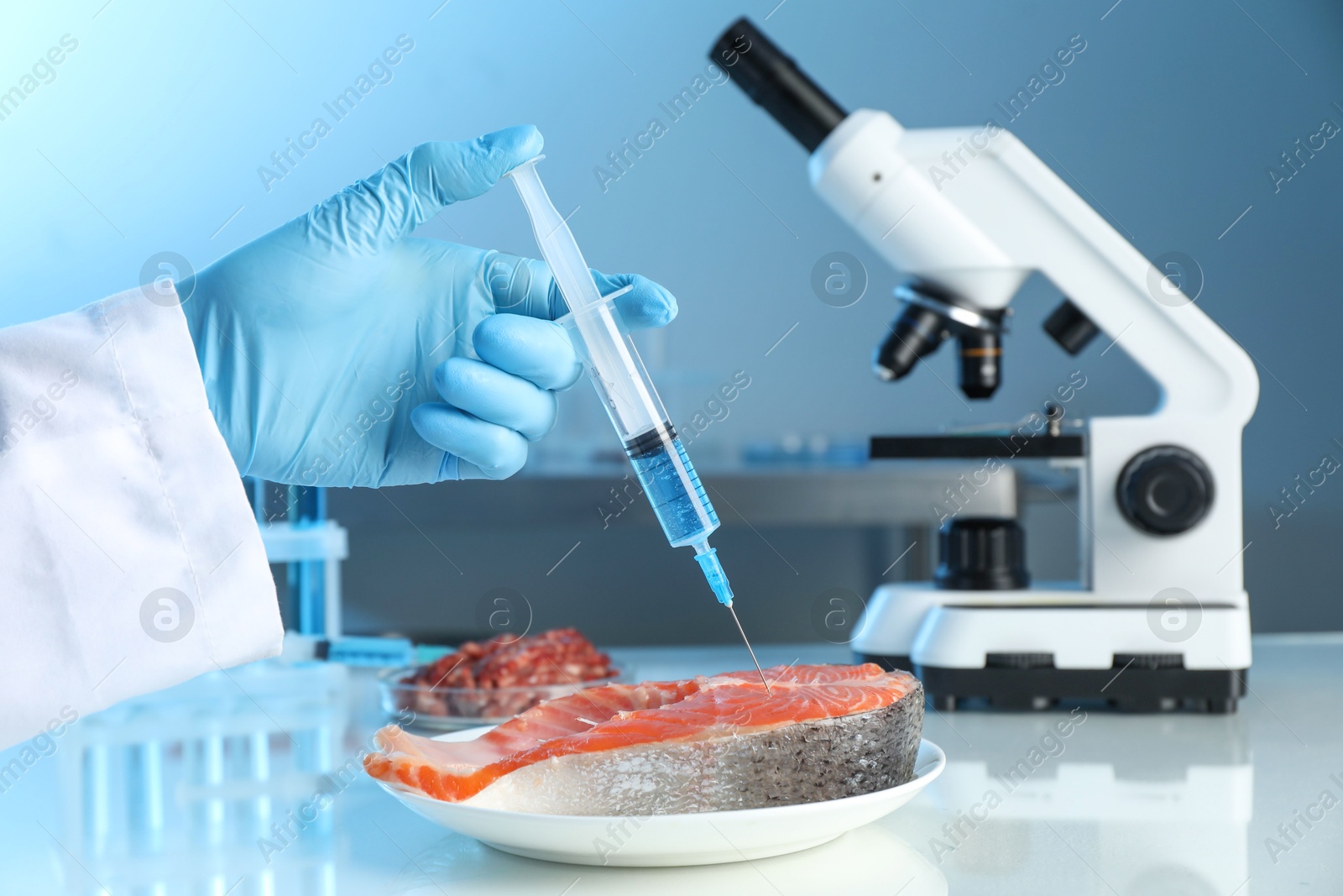 Photo of GMO concept. Scientist injecting something into piece of salmon at table in laboratory, closeup