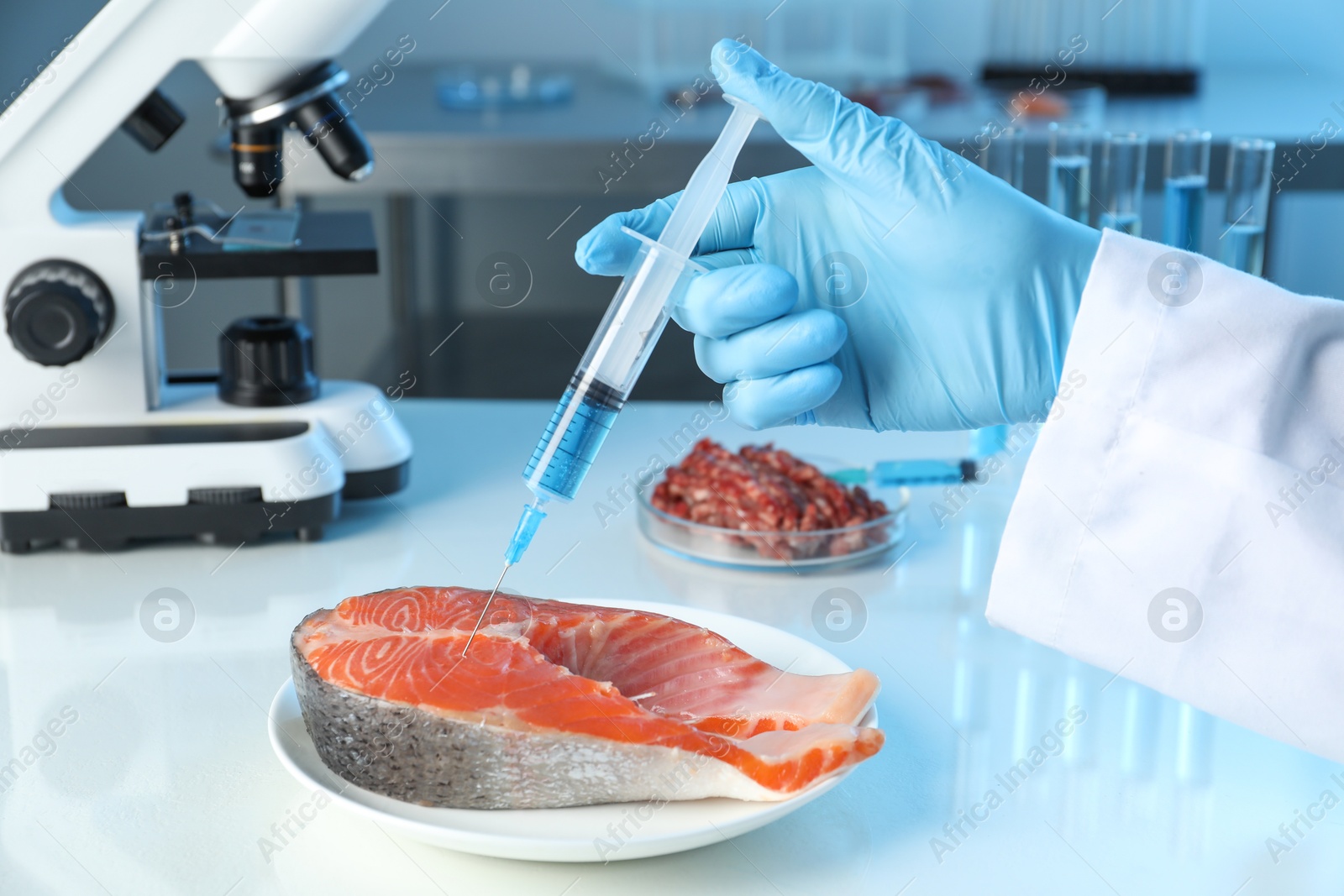 Photo of GMO concept. Scientist injecting something into piece of salmon at table in laboratory, closeup