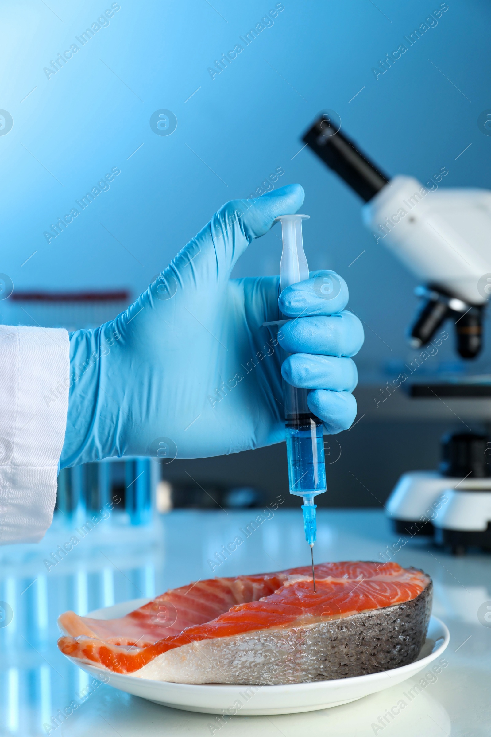 Photo of GMO concept. Scientist injecting something into piece of salmon at table in laboratory, closeup