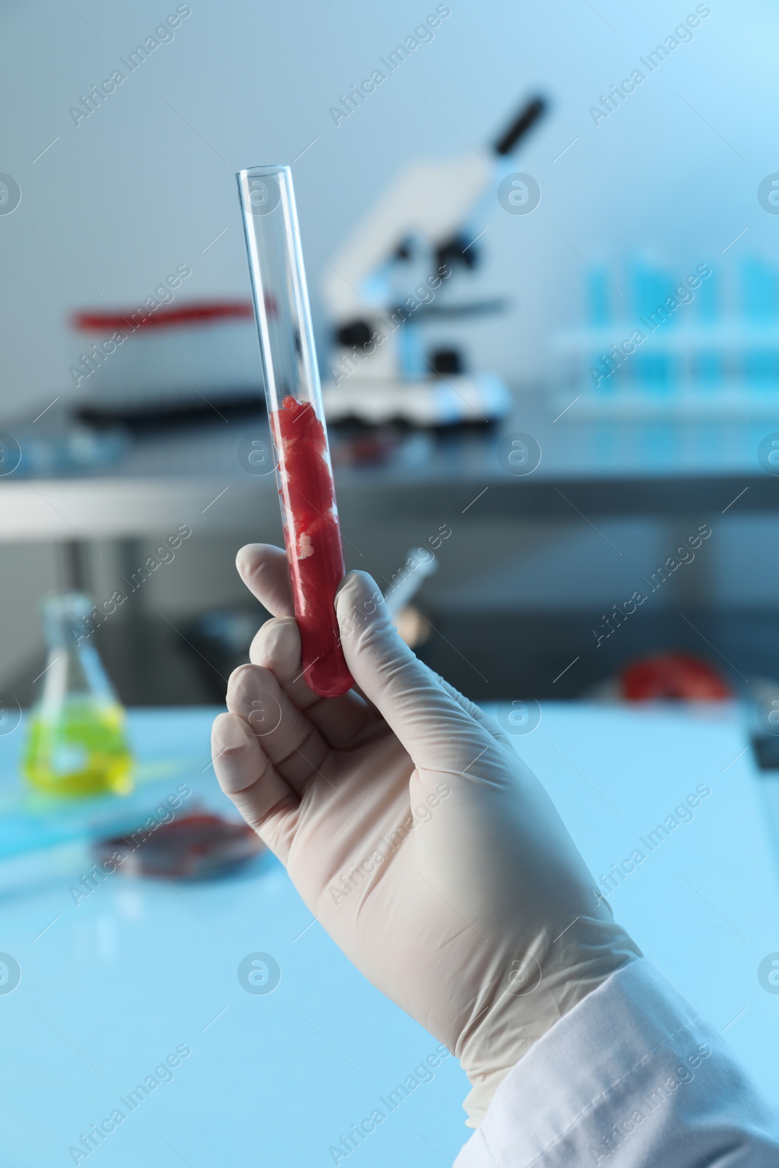 Photo of GMO concept. Scientist with meat in test tube at table, closeup