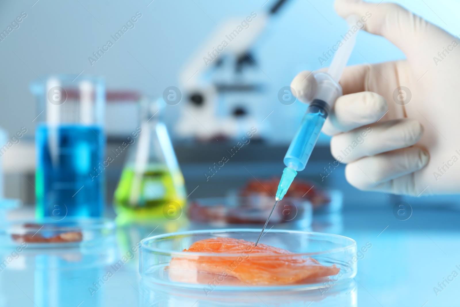 Photo of GMO concept. Scientist injecting something into piece of salmon at table in laboratory, closeup. Space for text