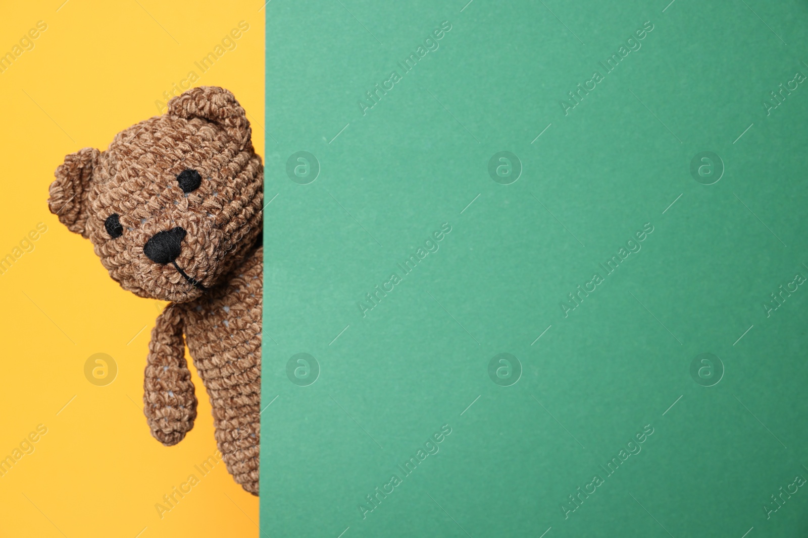 Photo of Cute knitted bear peeking out from green card on yellow background, space for text