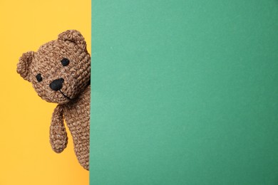 Photo of Cute knitted bear peeking out from green card on yellow background, space for text