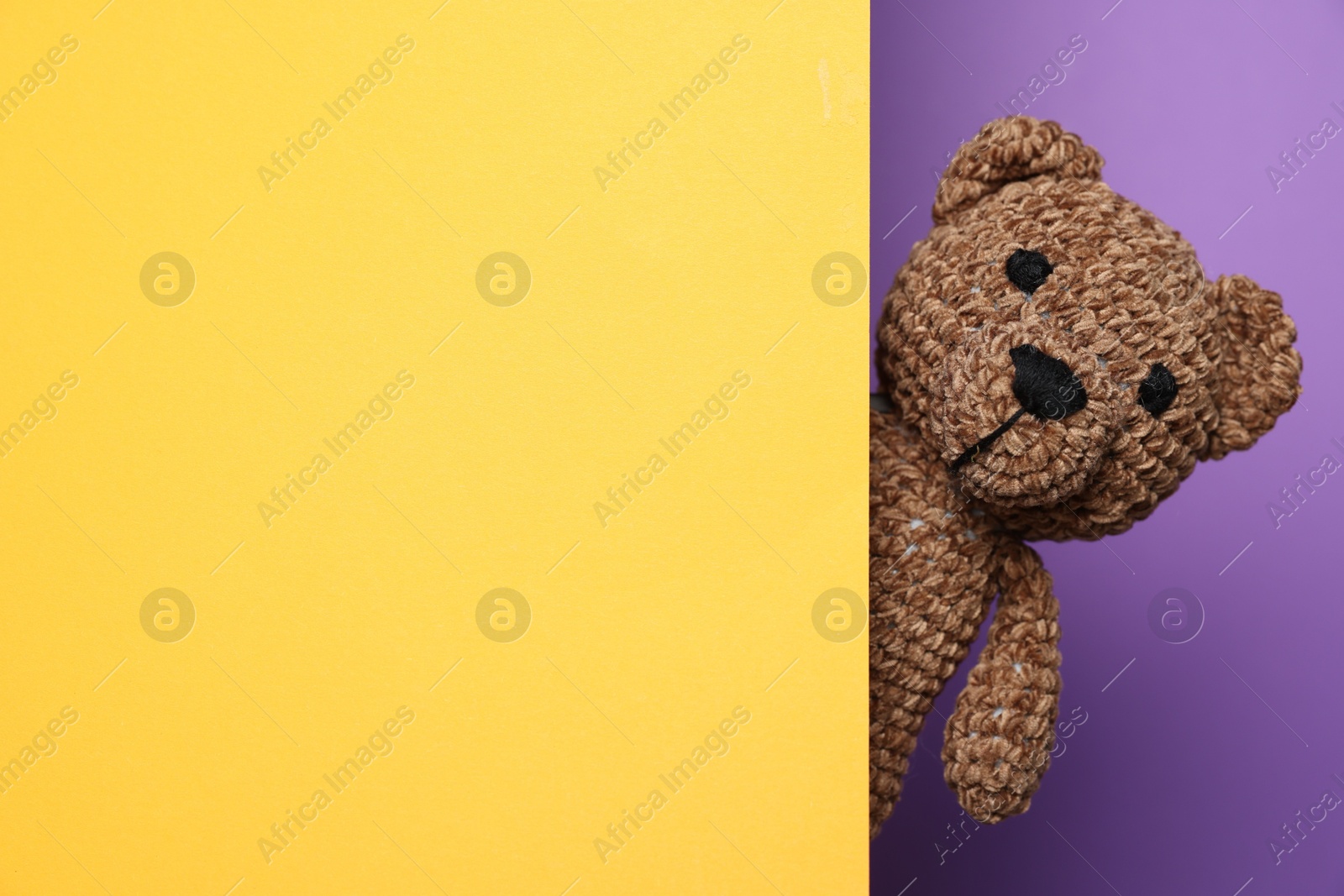 Photo of Cute knitted bear peeking out from yellow card on purple background, space for text