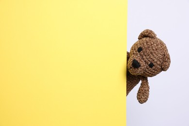 Photo of Cute knitted bear peeking out from yellow card on white background, space for text