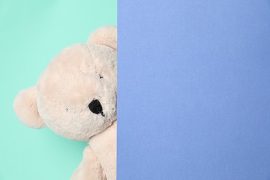 Photo of Cute teddy bear peeking out of blank card on turquoise background. Space for text