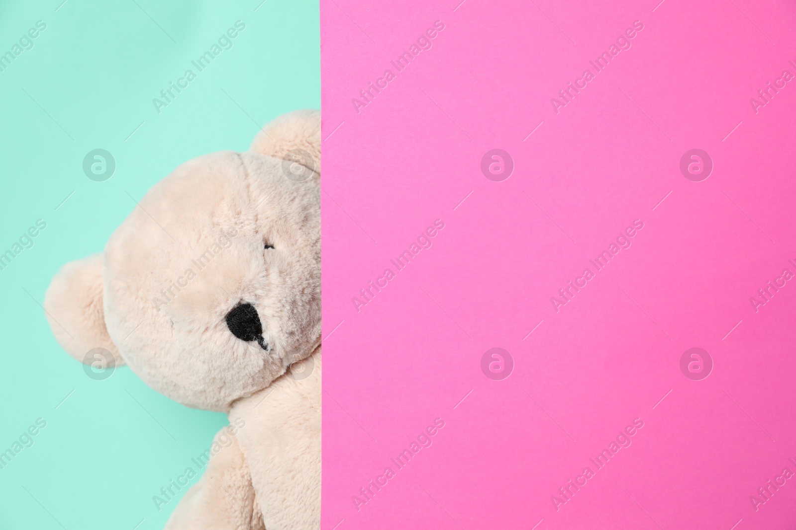 Photo of Cute teddy bear peeking out of blank card on turquoise background. Space for text