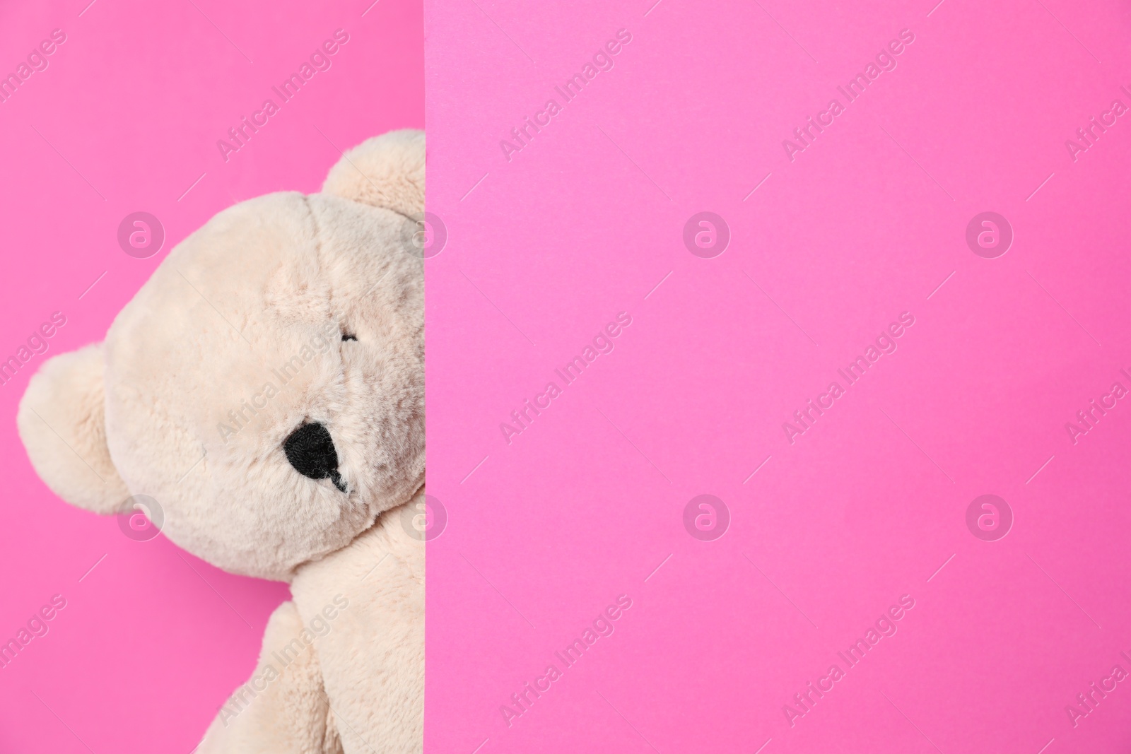 Photo of Cute teddy bear peeking out of blank card on pink background. Space for text