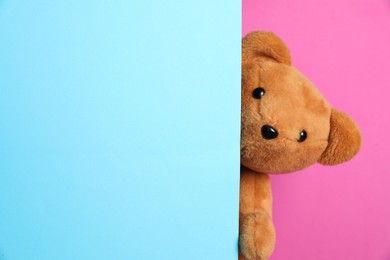 Photo of Cute teddy bear peeking out of blank card on pink background. Space for text