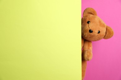 Photo of Cute teddy bear peeking out of blank card on pink background. Space for text