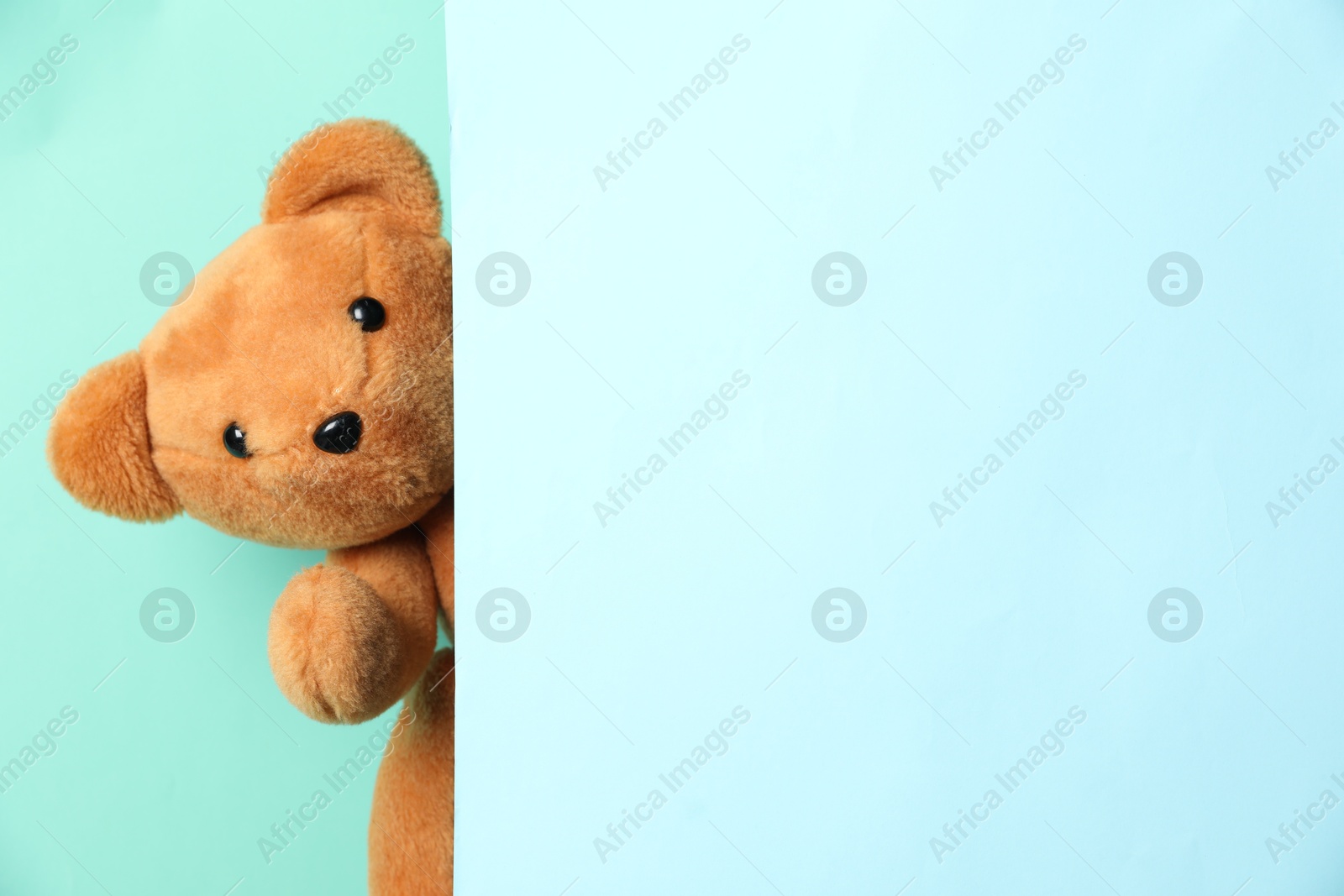 Photo of Cute teddy bear peeking out of blank card on light blue background. Space for text