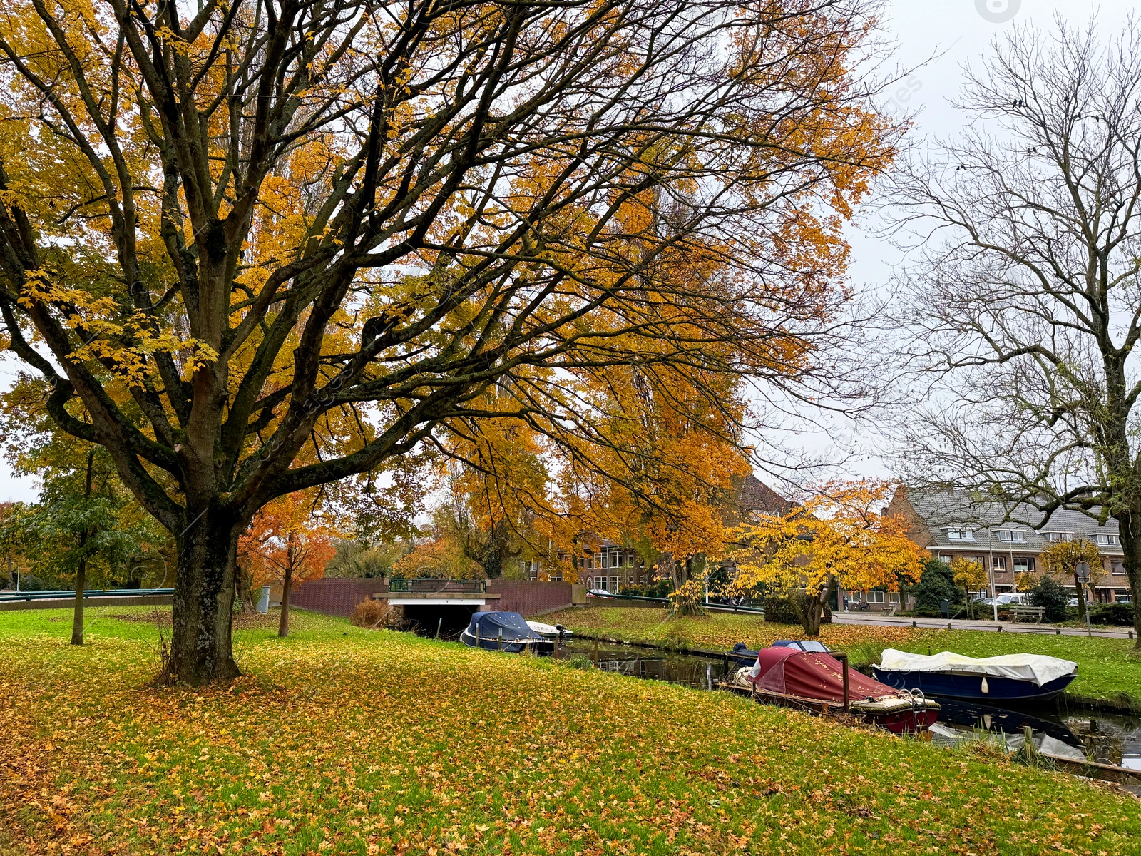 Photo of Beautiful view of canal with moored boats and colorful fallen leaves on autumn day