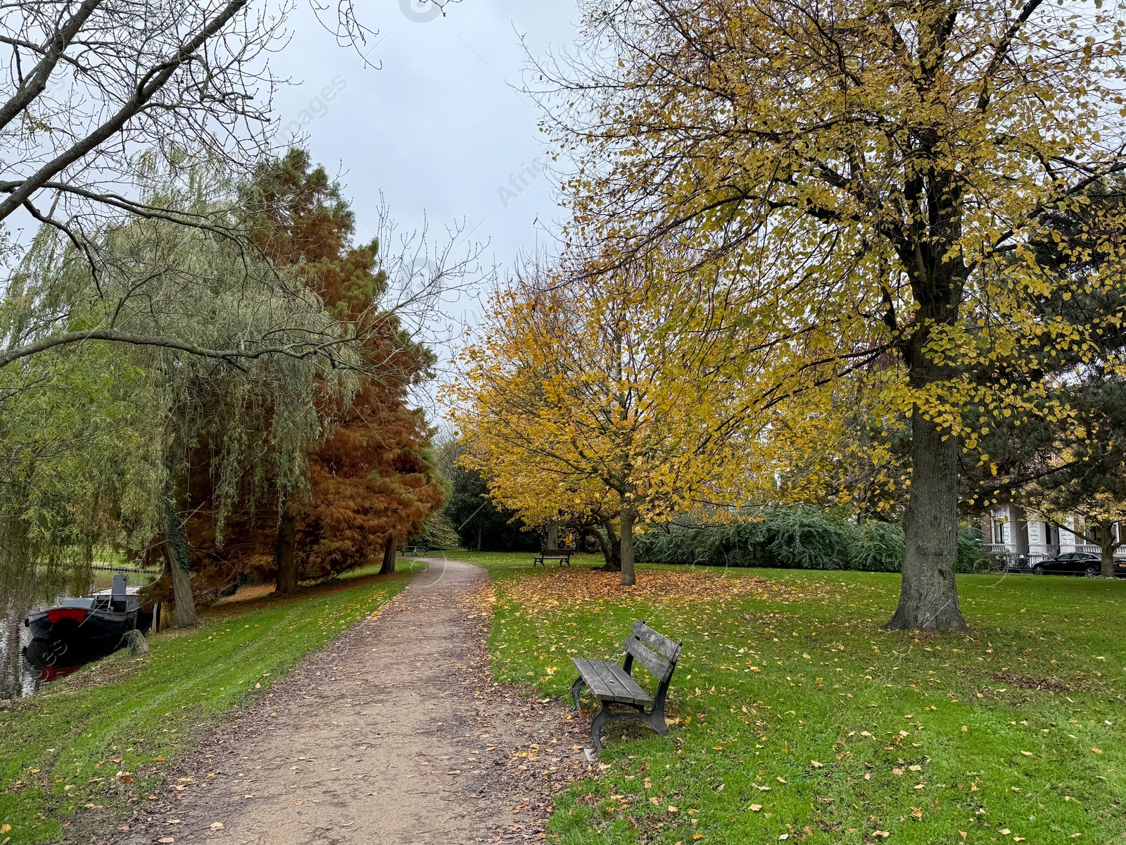 Photo of Bench near pathway in beautiful autumnal park