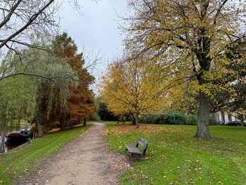 Photo of Bench near pathway in beautiful autumnal park