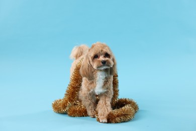 Photo of Cute dog with shiny tinsel on light blue background