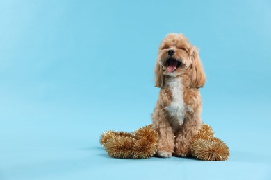 Photo of Cute dog with shiny tinsel on light blue background. Space for text