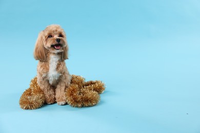 Photo of Cute dog with shiny tinsel on light blue background. Space for text