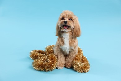 Photo of Cute dog with shiny tinsel on light blue background