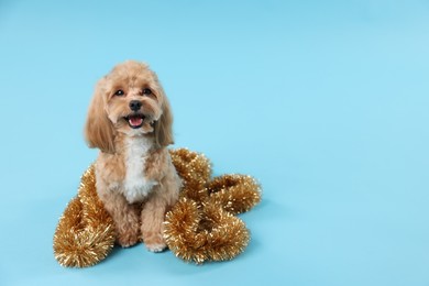 Photo of Cute dog with shiny tinsel on light blue background. Space for text