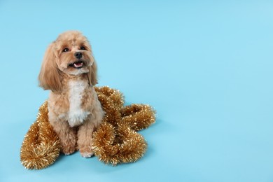 Photo of Cute dog with shiny tinsel on light blue background. Space for text