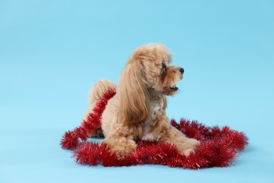 Photo of Cute dog with shiny tinsel on light blue background