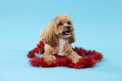 Photo of Cute dog with shiny tinsel on light blue background