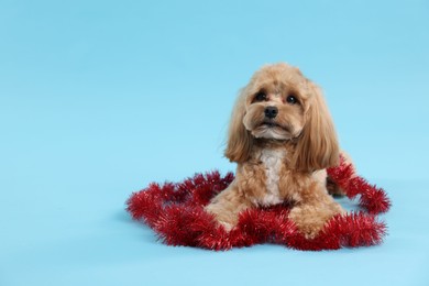 Photo of Cute dog with shiny tinsel on light blue background. Space for text