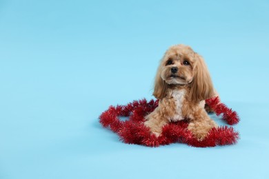 Photo of Cute dog with shiny tinsel on light blue background. Space for text