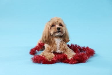 Photo of Cute dog with shiny tinsel on light blue background