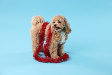 Photo of Cute dog with shiny tinsel on light blue background