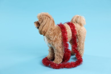 Photo of Cute dog with shiny tinsel on light blue background