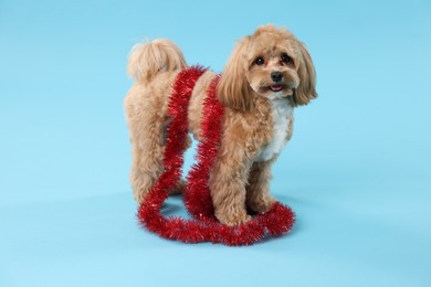 Photo of Cute dog with shiny tinsel on light blue background