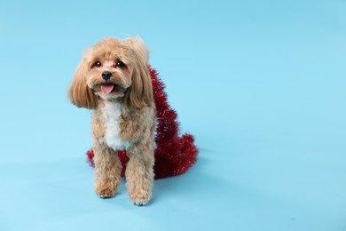 Photo of Cute dog with shiny tinsel on light blue background. Space for text