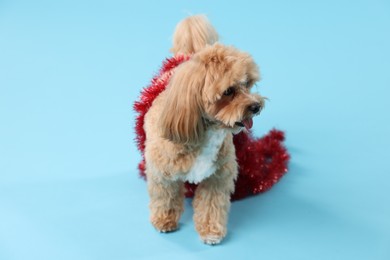 Photo of Cute dog with shiny tinsel on light blue background