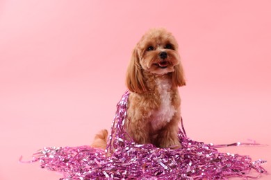 Photo of Cute dog with pile of shiny tinsels on pink background