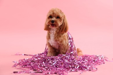 Photo of Cute dog with pile of shiny tinsels on pink background