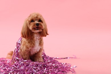 Photo of Cute dog with pile of shiny tinsels on pink background. Space for text