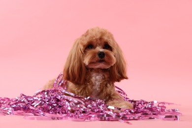 Photo of Cute dog with pile of shiny tinsels on pink background