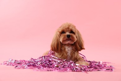 Photo of Cute dog with pile of shiny tinsels on pink background