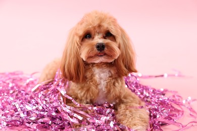 Photo of Cute dog with pile of shiny tinsels on pink background