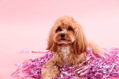 Photo of Cute dog with pile of shiny tinsels on pink background. Space for text