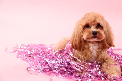 Photo of Cute dog with pile of shiny tinsels on pink background. Space for text