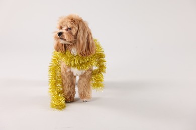 Photo of Cute dog with shiny tinsel on white background. Space for text