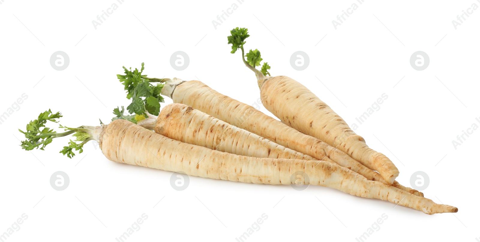 Photo of Many fresh parsley roots isolated on white