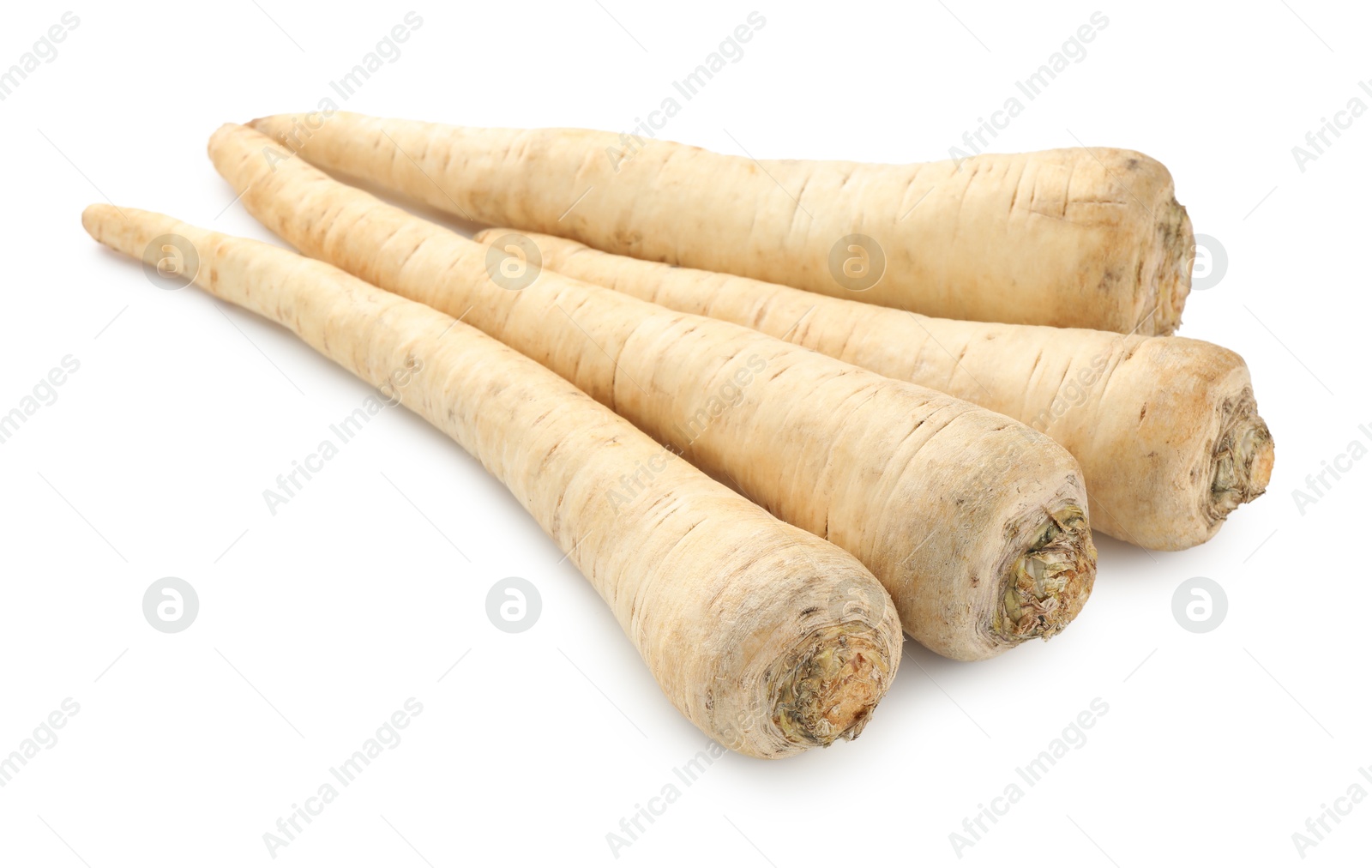 Photo of Many fresh parsley roots isolated on white